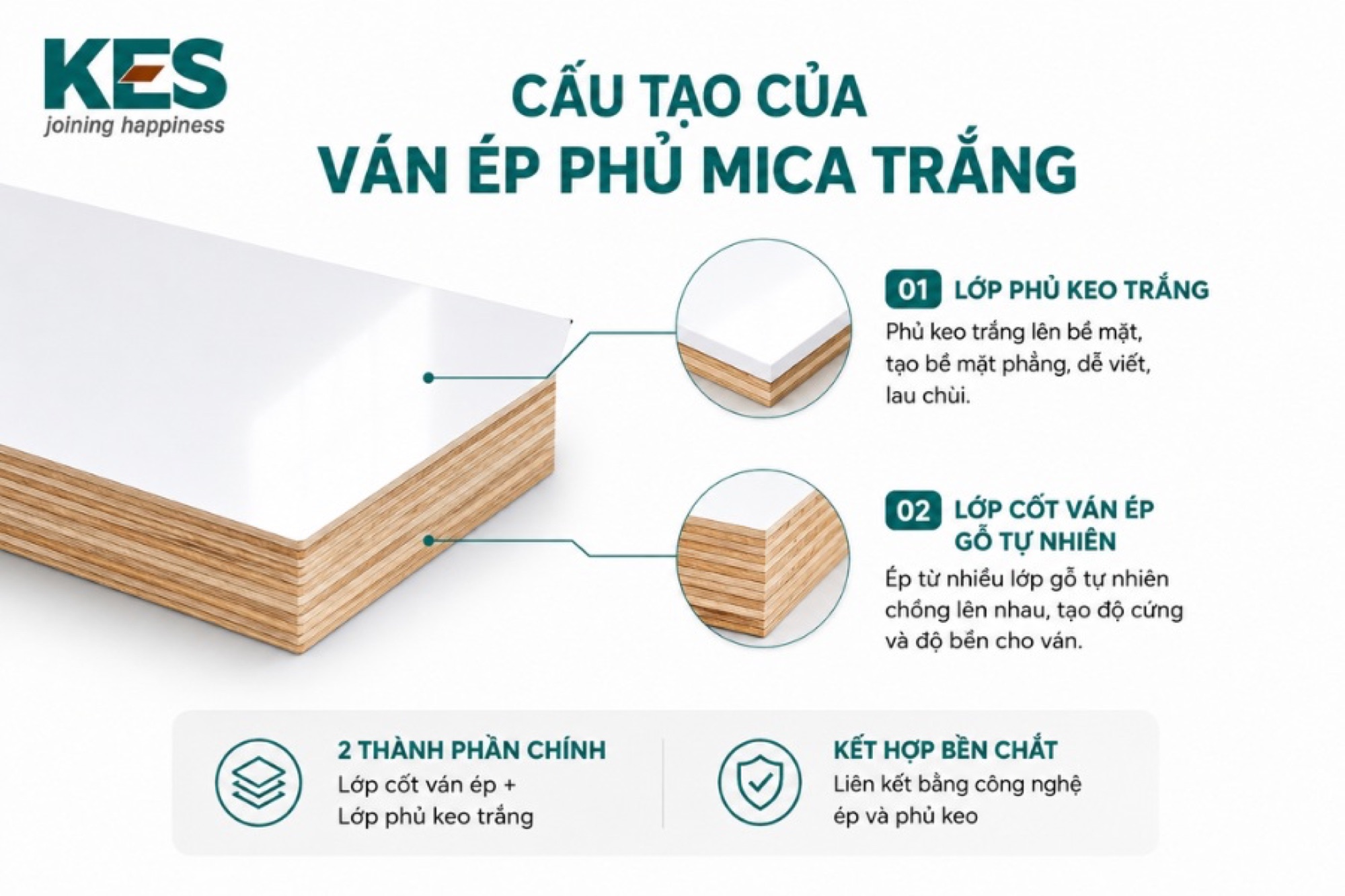 Cấu tạo của ván ép phủ mica trắng Cấu tạo của ván ép phủ mica trắng